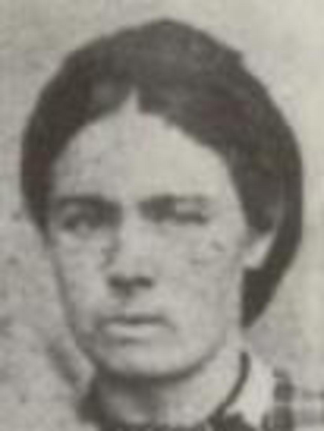 Mary Elizabeth Evans (1844 - 1921) Profile